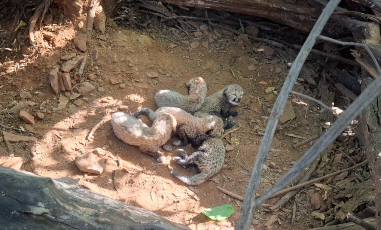 Story image